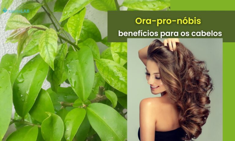 Benefícios da ora-pro-nóbis para o cabelo: 04 motivos para usar sempre 1 Benefícios da ora-pro-nóbis para o cabelo.