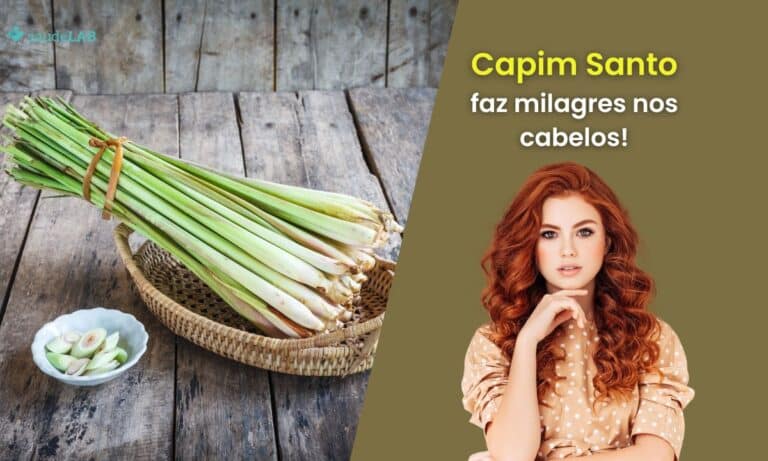 Benefícios do capim santo para os cabelos: 7 vantagens de usar a planta regularmente 2 Benefícios do capim santo para os cabelos.
