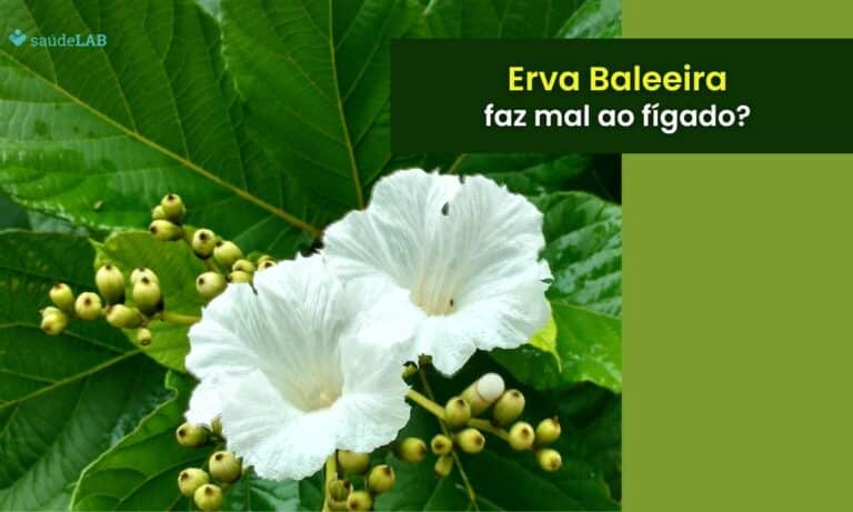 erva baleeira faz mal para o fígado.