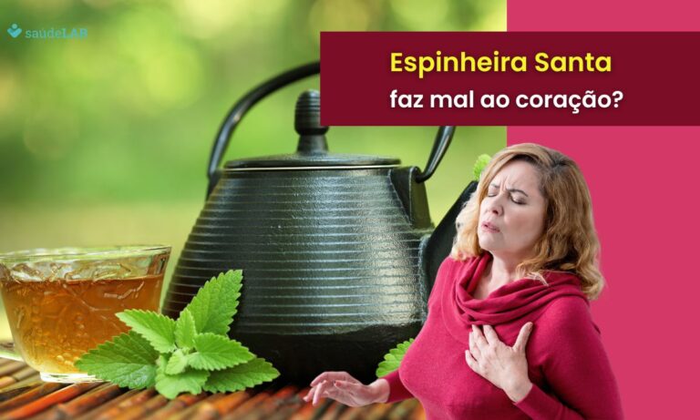 espinheira santa faz mal para o coração.
