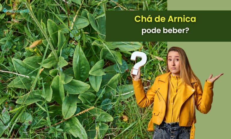 Pode beber chá de arnica.