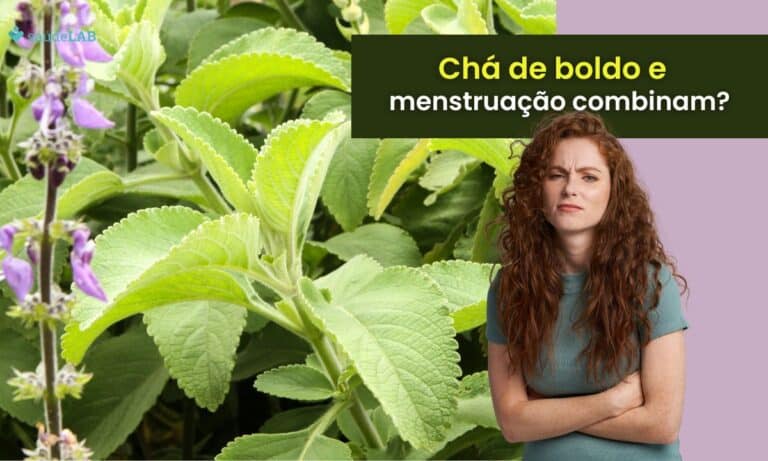 Pode tomar chá de boldo menstruada? Entenda seus efeitos na saúde da mulher 1 Pode tomar chá de boldo menstruada.