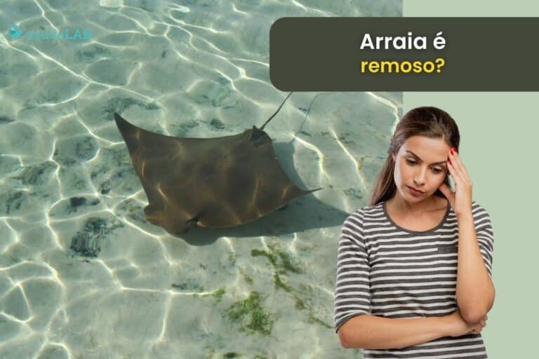 Arraia é remoso.