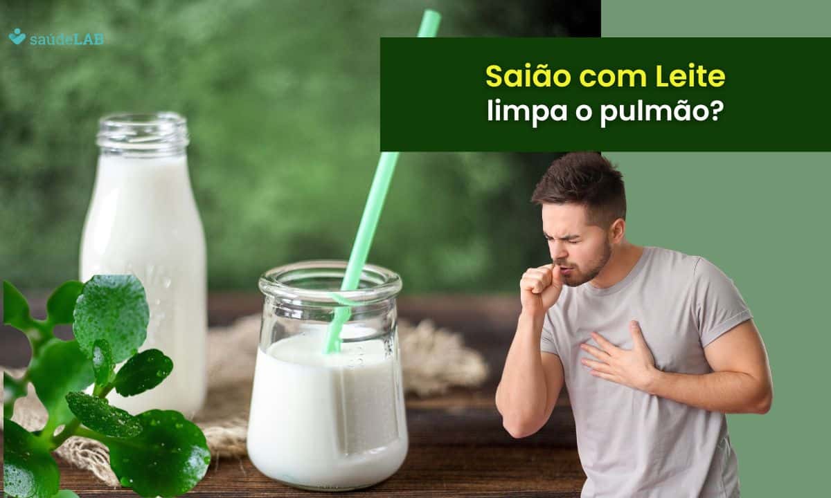 Saião com leite limpa o pulmão? Saiba tudo sobre essa combinação 1 Saião com leite limpa o pulmão.