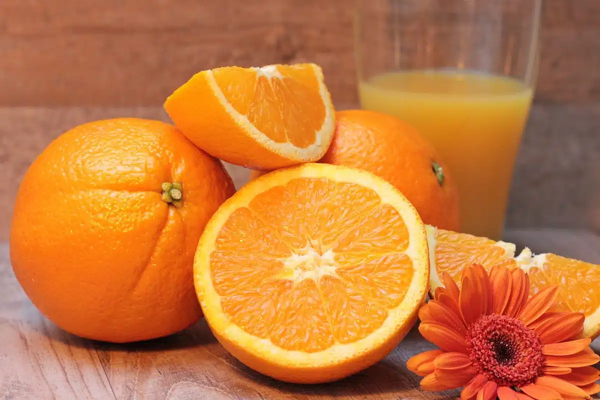 Suco de berinjela com laranja