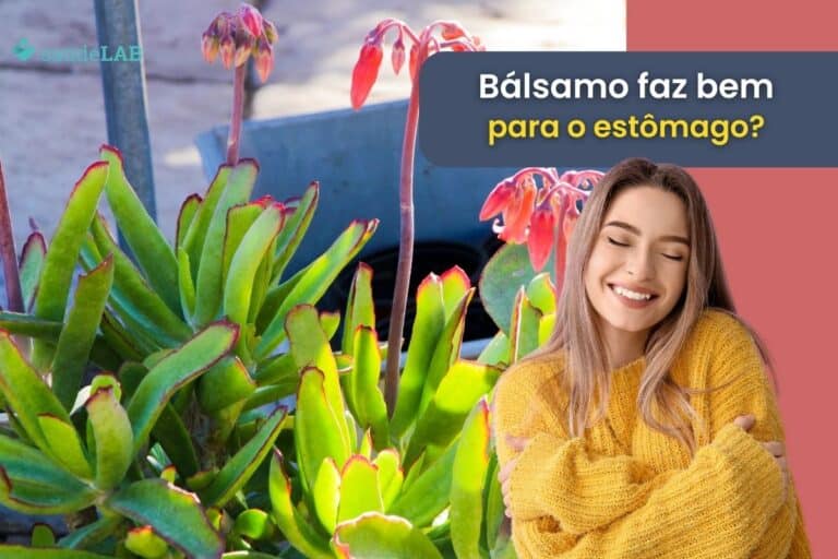 Bálsamo é bom para o estômago? Conheça agora suas verdadeiras utilidades 2 bálsamo é bom para o estômago.
