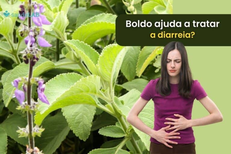 Boldo é bom para diarreia? Veja os benefícios da bebida nessa ocasião 3 Boldo é bom para a diarreia.