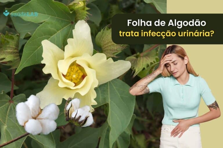 Chá de folha de algodão é bom para infecção urinária? Entenda seus efeitos e use do jeito certo 5 chá de folha de algodão é bom para infecção urinária.