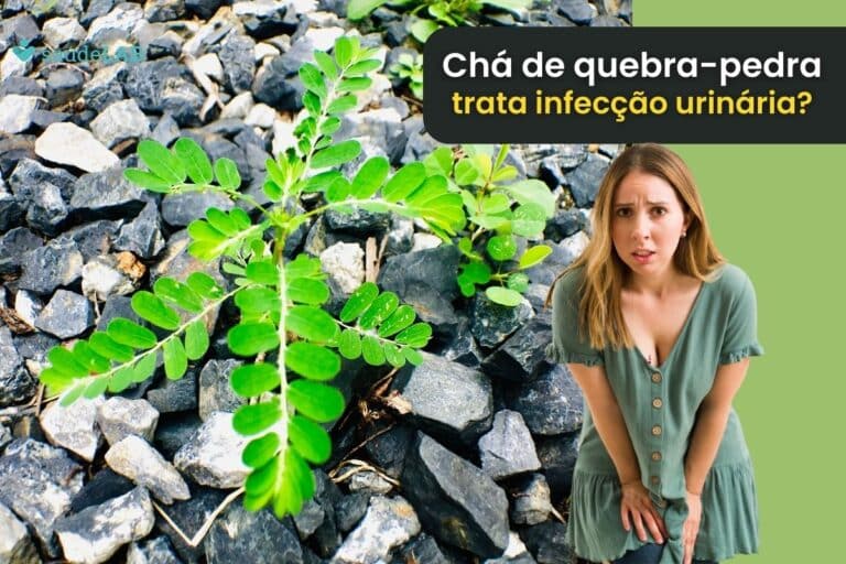 Chá de quebra-pedra é bom para infecção urinária.