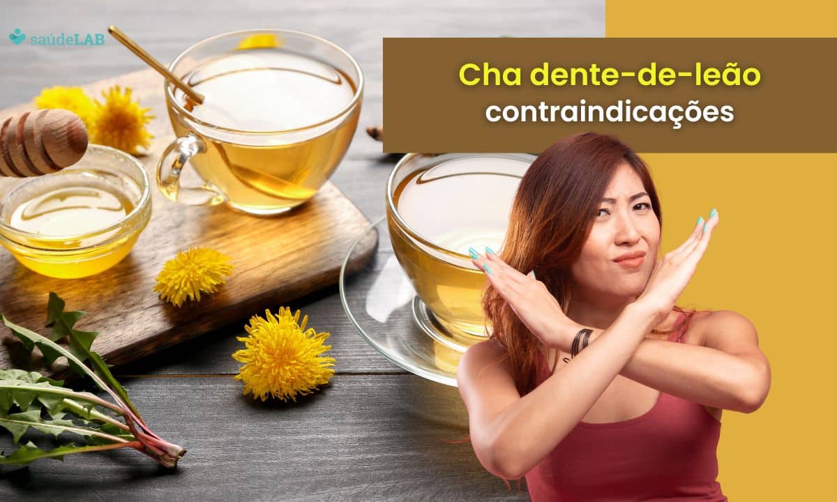 Contraindicações do Chá Dente-de-Leão: fique atento e não caia em ciladas 1 contraindicações do chá dente-de-leão