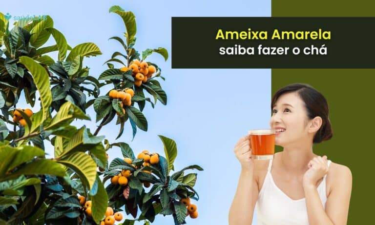 folha de ameixa amarela.