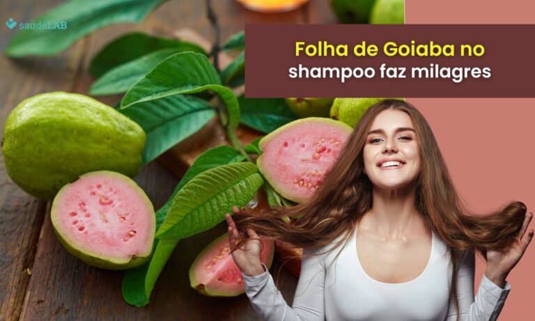 Folha de goiaba no shampoo cresce o cabelo: mito ou verdade? Descubra! 1 Folha de goiaba no shampoo cresce o cabelo