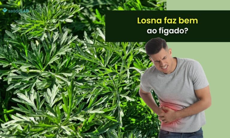 Losna é bom para o fígado? Entenda como a erva pode ser aproveitada 1 Losna é bom para o fígado.