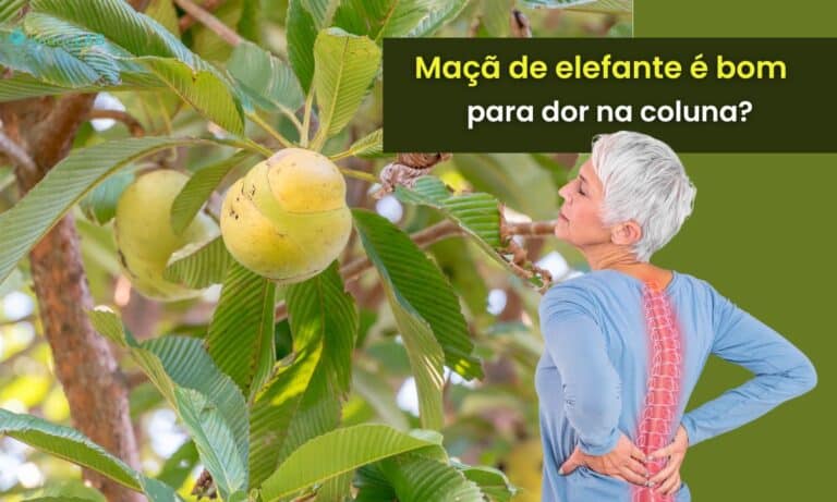 Maçã de elefante é bom para dor na coluna.