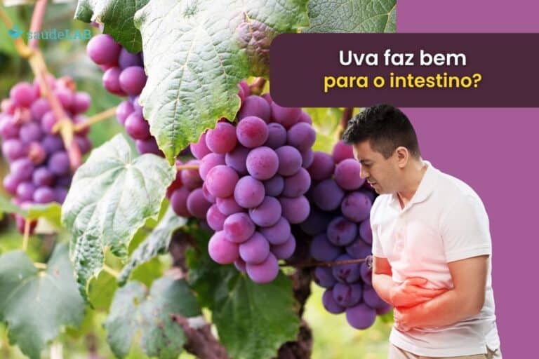 Uva é bom para o intestino? Descubra se usar a fruta é uma boa ideia 3 uva é bom para o intestino.