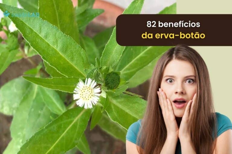 82 benefícios da Erva-Botão: conheça detalhes sobre essa poderosa planta medicinal 1 82 Benefícios da Erva-Botão.