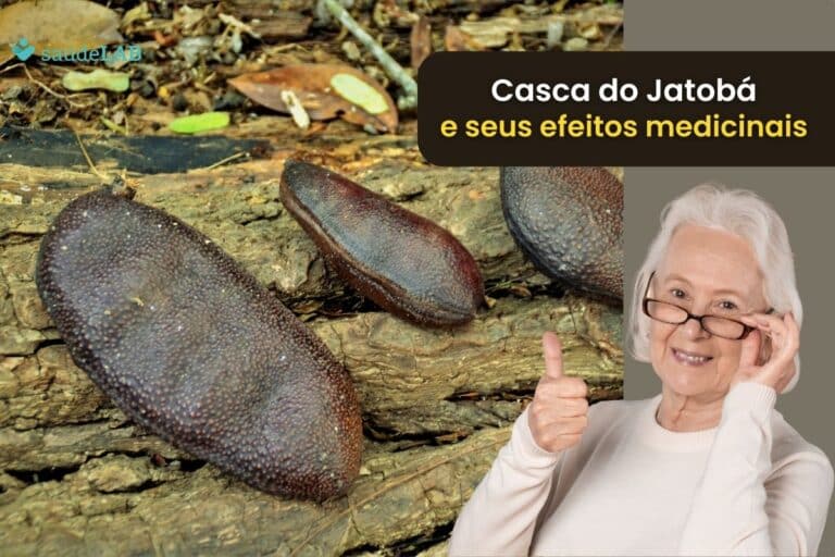 Casca de jatobá tem efeito afrodisíaco e ainda é emagrecedor: confira benefícios e usos 1 Casca de jatobá.