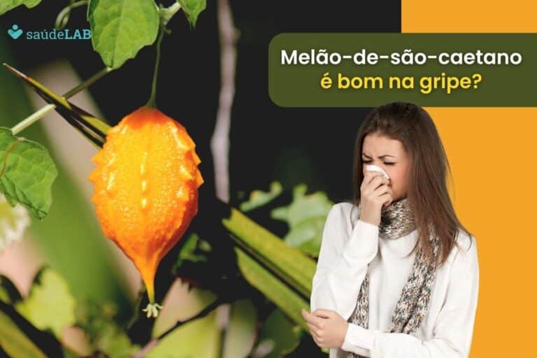 Melão-de-São-Caetano é Bom para Gripe.