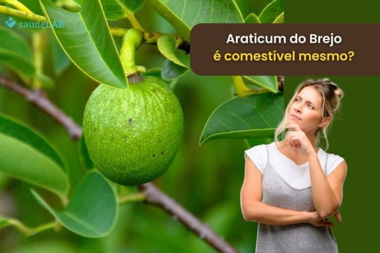 Araticum do brejo é comestível? Conheça mais sobre essa fruta exótica 3 Araticum do brejo é comestível.