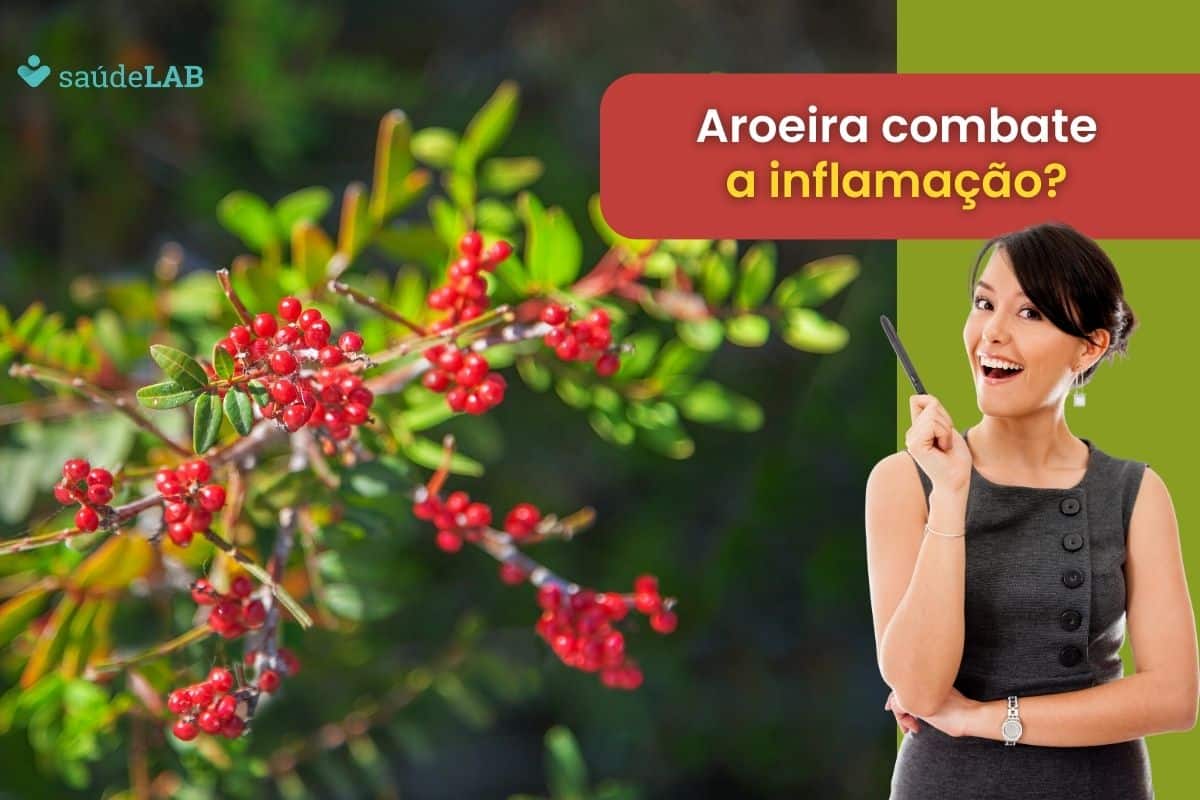 Aroeira serve para inflamação? Conheça as principais aplicações dela 1 aroeira serve para inflamação.