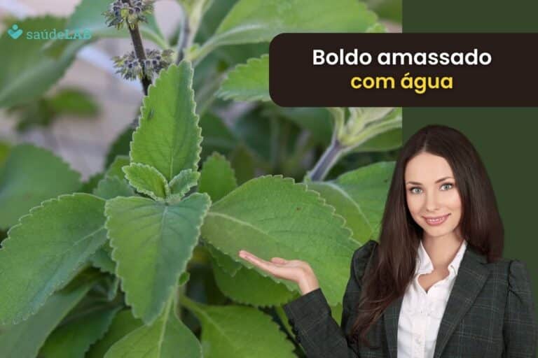 Para que serve o boldo amassado com água? Conheça suas aplicações 6 boldo amassado com água.
