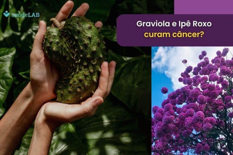 Graviola e ipê roxo cura câncer? Veja o porquê e problemas por trás disso 8 graviola e ipê roxo cura câncer.