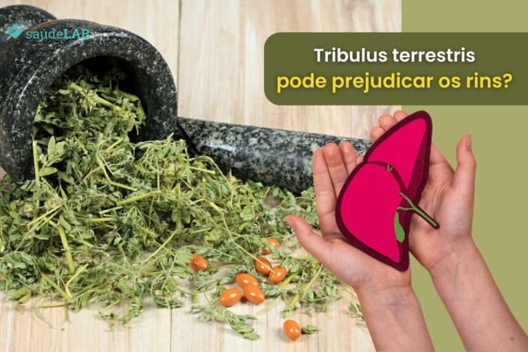 Tribulus terrestris faz mal para o fígado? Entenda melhor seus efeitos 4 tribulus terrestris faz mal para o fígado.