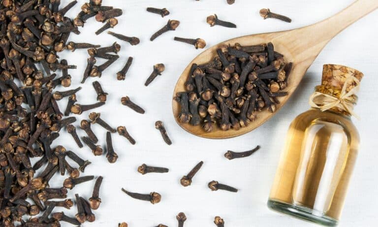 Água de cravo: saiba como preparar e seus benefícios 4 Água de cravo.