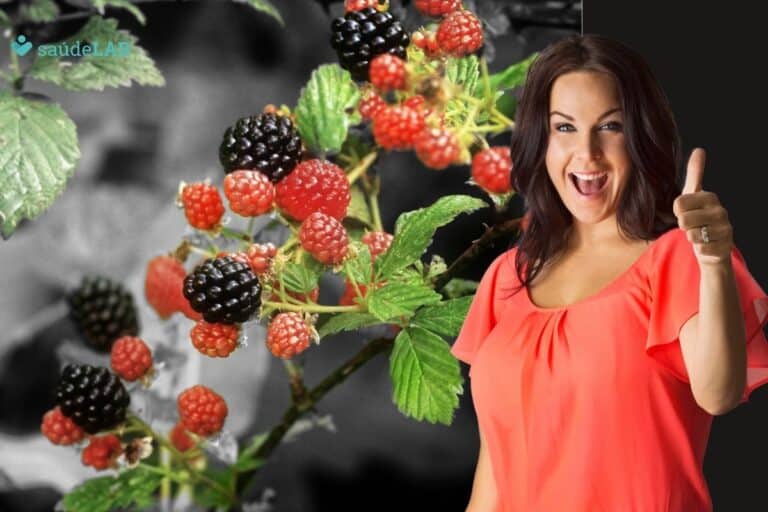 Amora prende ou solta o intestino? Entenda melhor seus efeitos no organismo 8 amora prende ou solta o intestino.