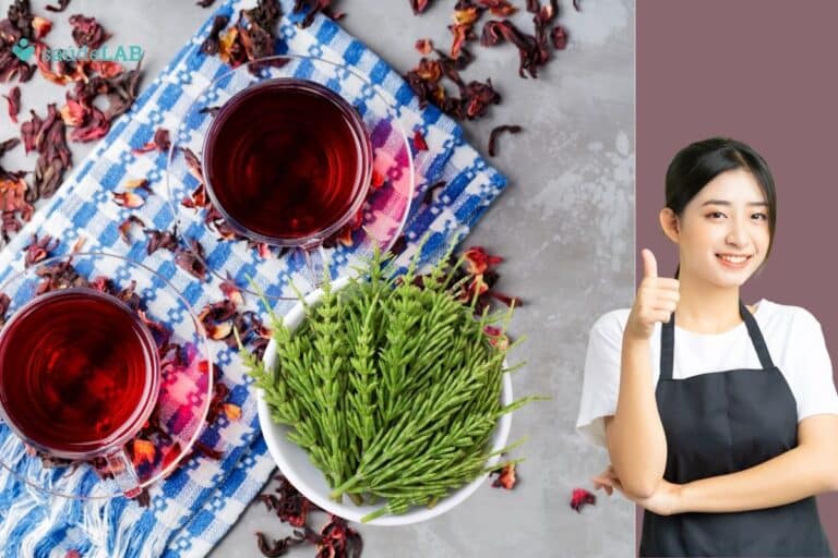 Chá de cavalinha com hibisco: conheça os benefícios dessa combinação poderosa 2 chá de cavalinha com hibisco.