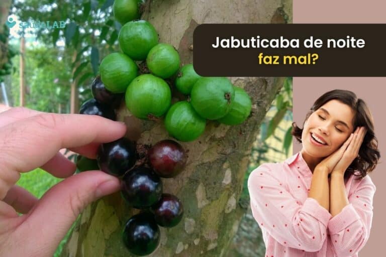 Comer jabuticaba à noite faz mal? Descubra os efeitos da fruta neste horário 3 comer jabuticaba a noite faz mal.
