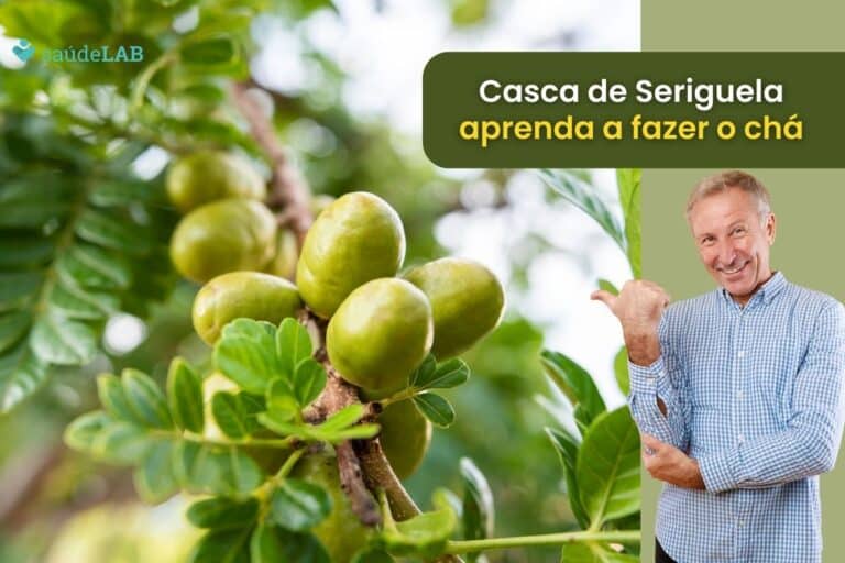 Como fazer o chá da casca da seriguela? Saiba fazer e aprecie seus benefícios à saúde 1 como fazer o chá da casca da seriguela.