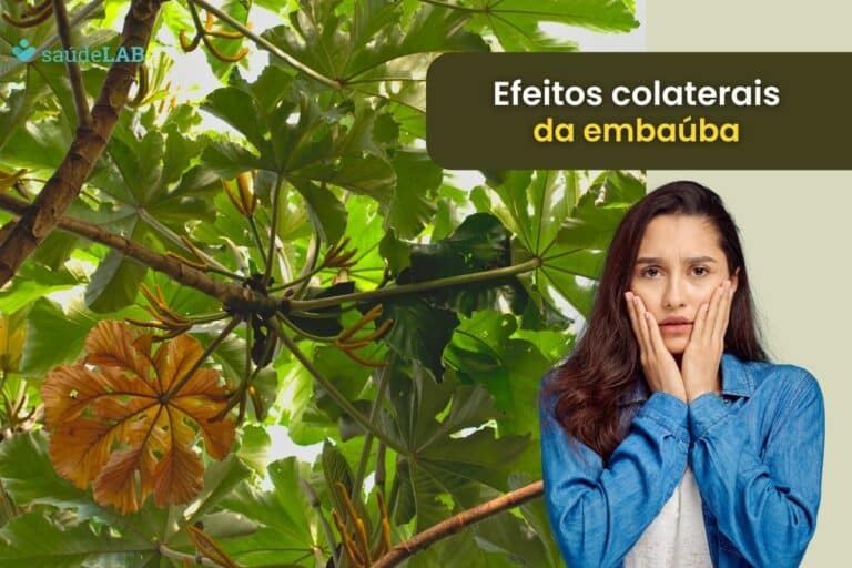 Efeitos colaterais da Embaúba: fique atento para evitar complicações 4 efeitos colaterais da embaúba.