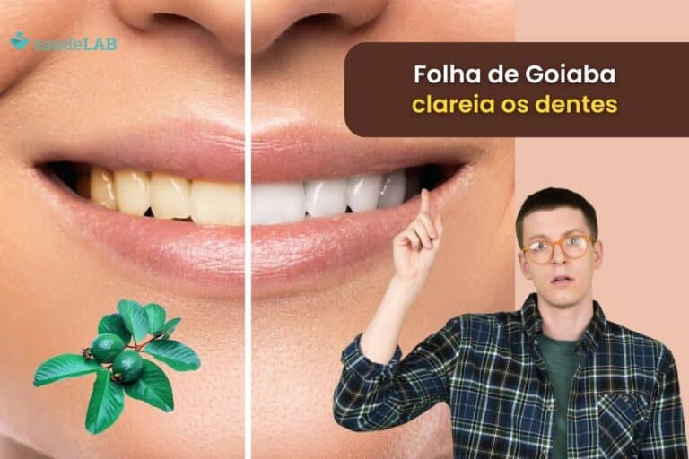 Folha de goiaba clareia os dentes mesmo, ou é apenas um mito? Descubra! 4 folha de goiaba clareia os dentes.
