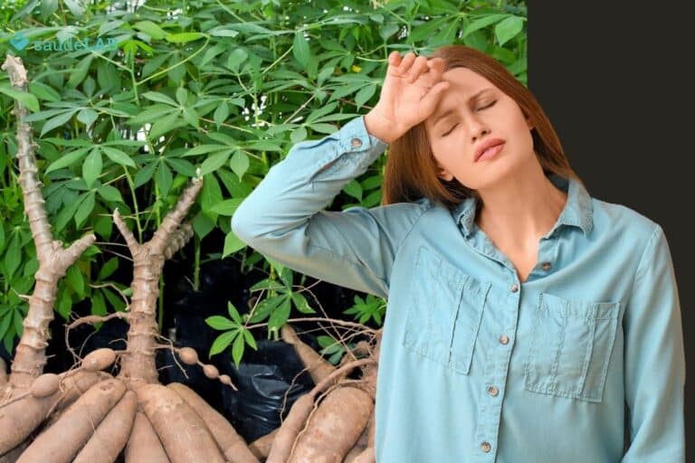 Como usar a folha de mandioca para anemia? Funciona mesmo? Entenda 5 folha de mandioca para anemia.