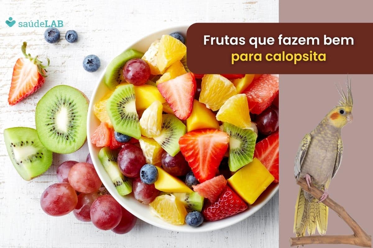 Frutas que calopsita pode comer.