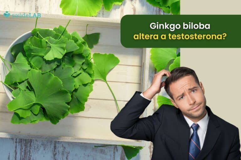 Ginkgo biloba aumenta a testosterona: mito ou verdade? Saiba tudo sobre o assunto 7 ginkgo biloba aumenta a testosterona.