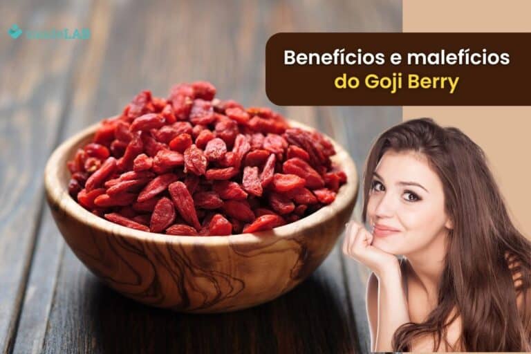 Goji Berry: benefícios e malefícios da fruta que você precisa conhecer imediatamente 2 goji berry benefícios e malefícios.
