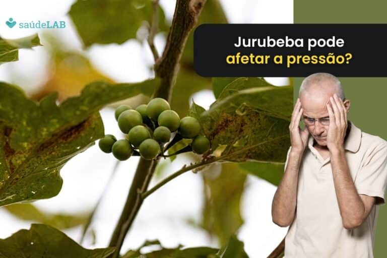 Jurubeba aumenta a pressão arterial mesmo, ou isso é apenas um mito? Entenda 4 jurubeba aumenta a pressão.
