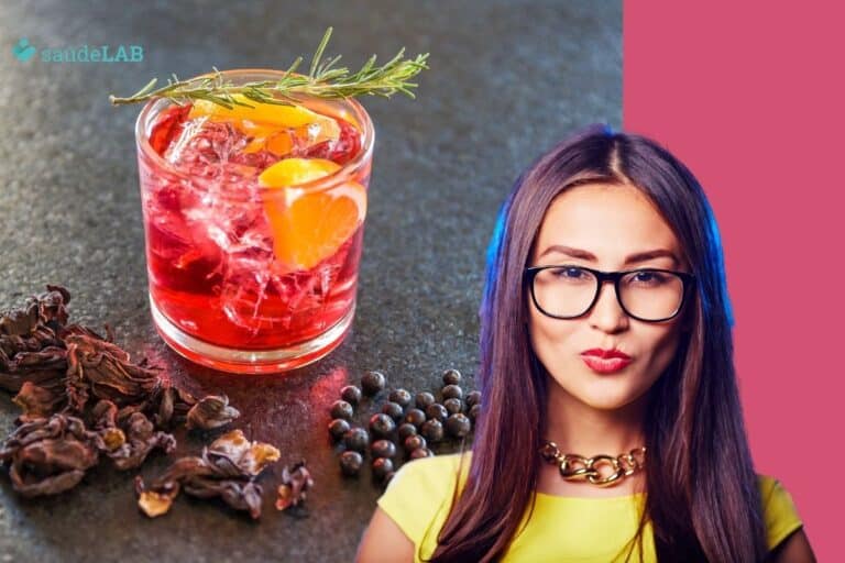 Gin com hibisco: aprenda como preparar esse drink delicioso 7 Gin com hibisco.