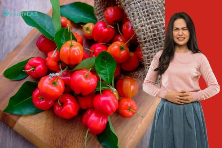 Acerola solta o intestino? Conheça seus efeitos no organismo 8 acerola solta o intestino.