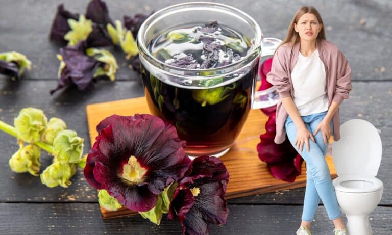 Chá de malva é bom para infecção urinária? Saiba usar com consciência 4 chá de malva é bom para infecção urinária.