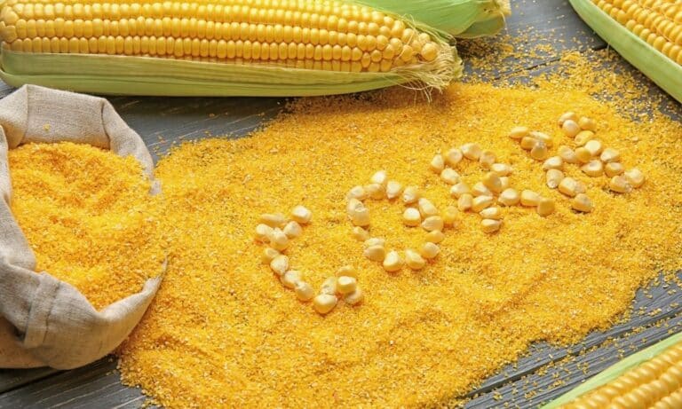 Farinha de milho tem glúten? Descubra as principais características dela 3 Farinha de milho tem glúten.