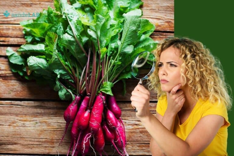 Folha de beterraba é tóxica? Será que pode comer? Descubra! 7 folha de beterraba é tóxica.