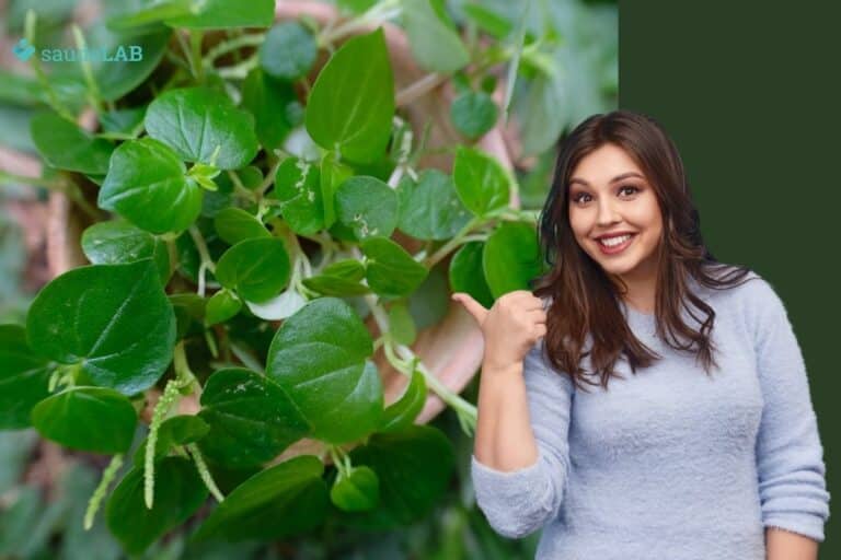 Oriri: para que serve essa erva medicinal? Saiba como fazer para aproveitá-la 2 oriri para que serve.