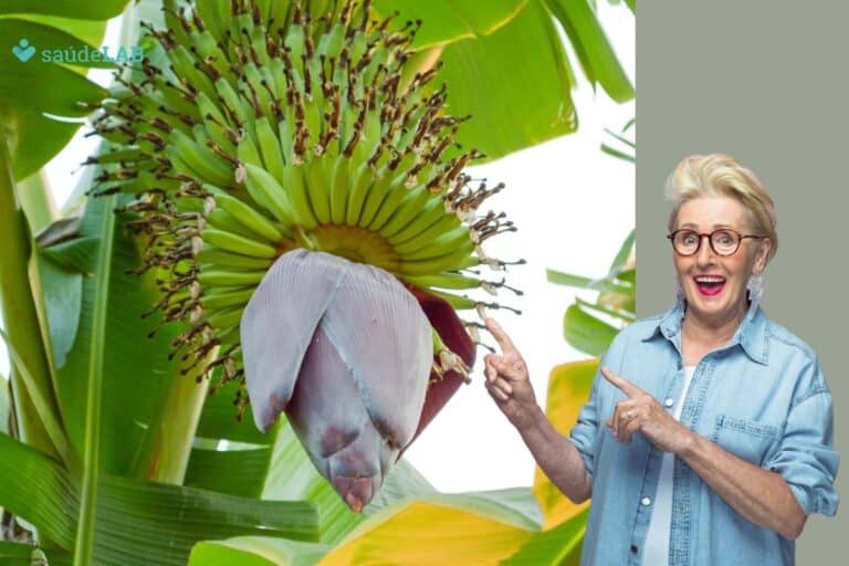 xarope de umbigo de banana benefícios.