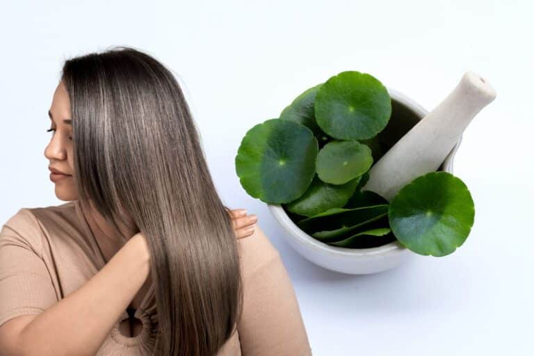 Centella asiática para o cabelo.