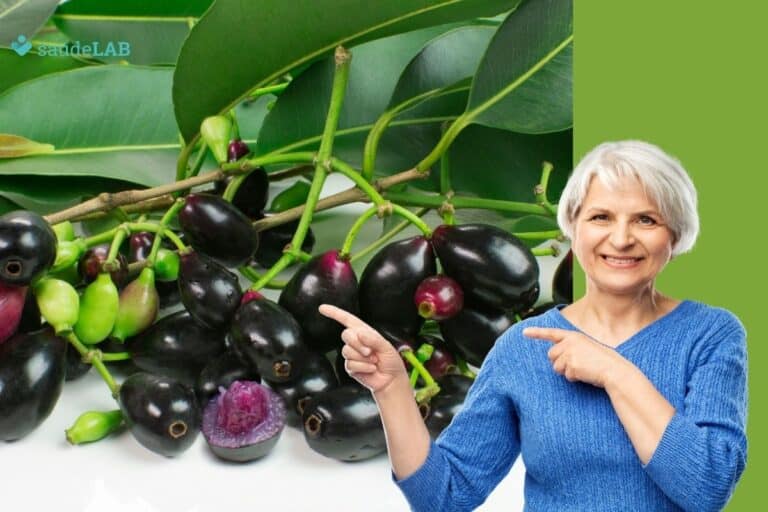 5 incríveis benefícios do jamelão para começar a consumir hoje ainda! 1 benefícios do jamelão.