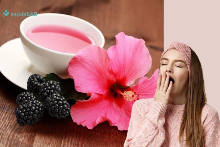 Chá de hibisco com amora dá sono? Entenda os efeitos da combinação 8 chá de hibisco com amora dá sono.