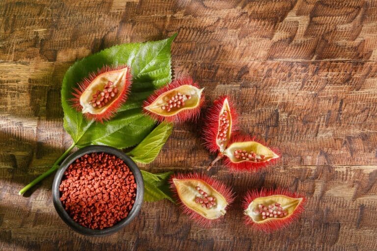 Como tomar urucum para colesterol? Ele realmente funciona? Descubra 1 como tomar urucum para colesterol.
